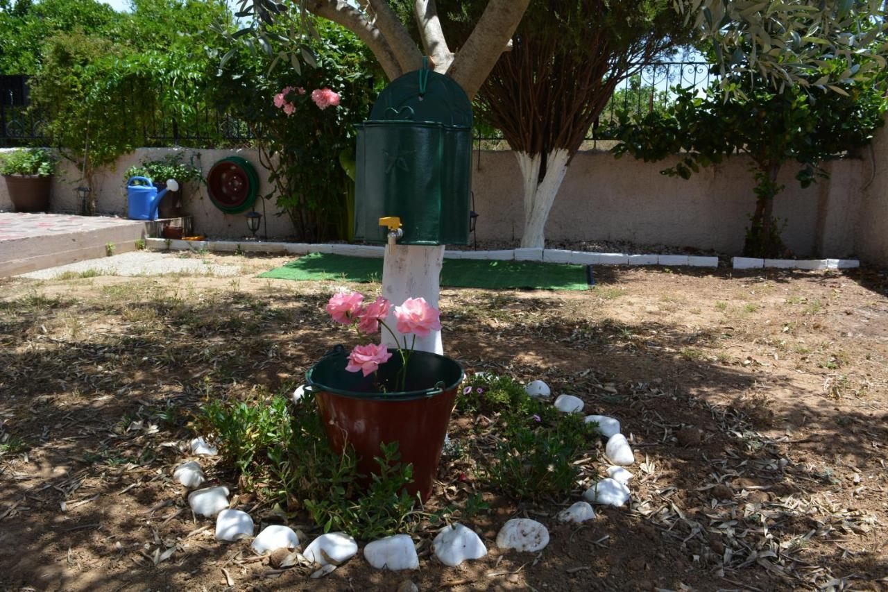 Green House Nafplio Ngoại thất bức ảnh